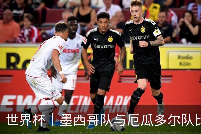 世界杯｜墨西哥队与厄瓜多尔队比赛因雷雨延迟