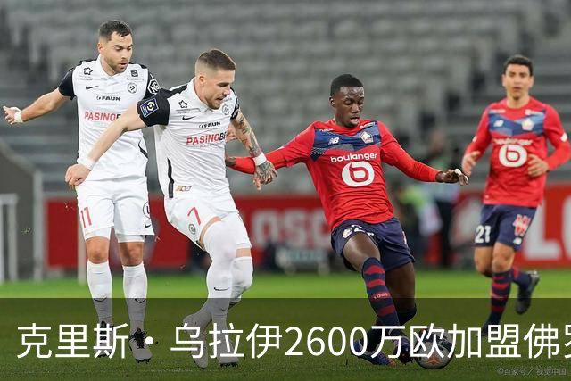 克里斯·乌拉伊2600万欧加盟佛罗伦萨