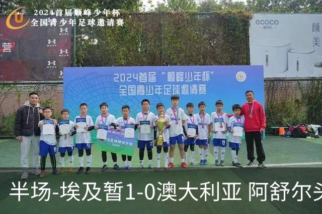 半场-埃及暂1-0澳大利亚 阿舒尔头球破门哈菲兹助攻沃尔帕托中框