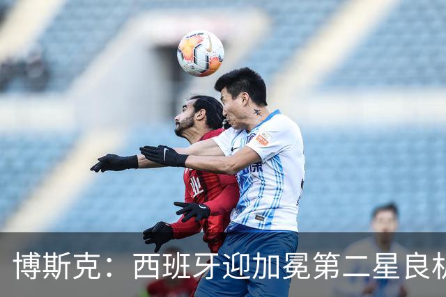 博斯克：西班牙迎加冕第二星良机，梅西依旧犀利