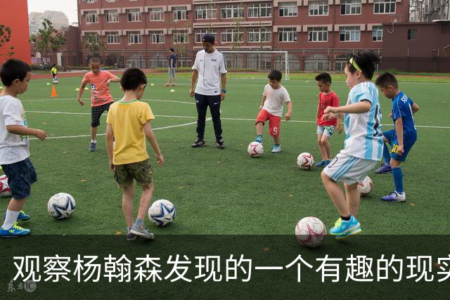 观察杨翰森发现的一个有趣的现实